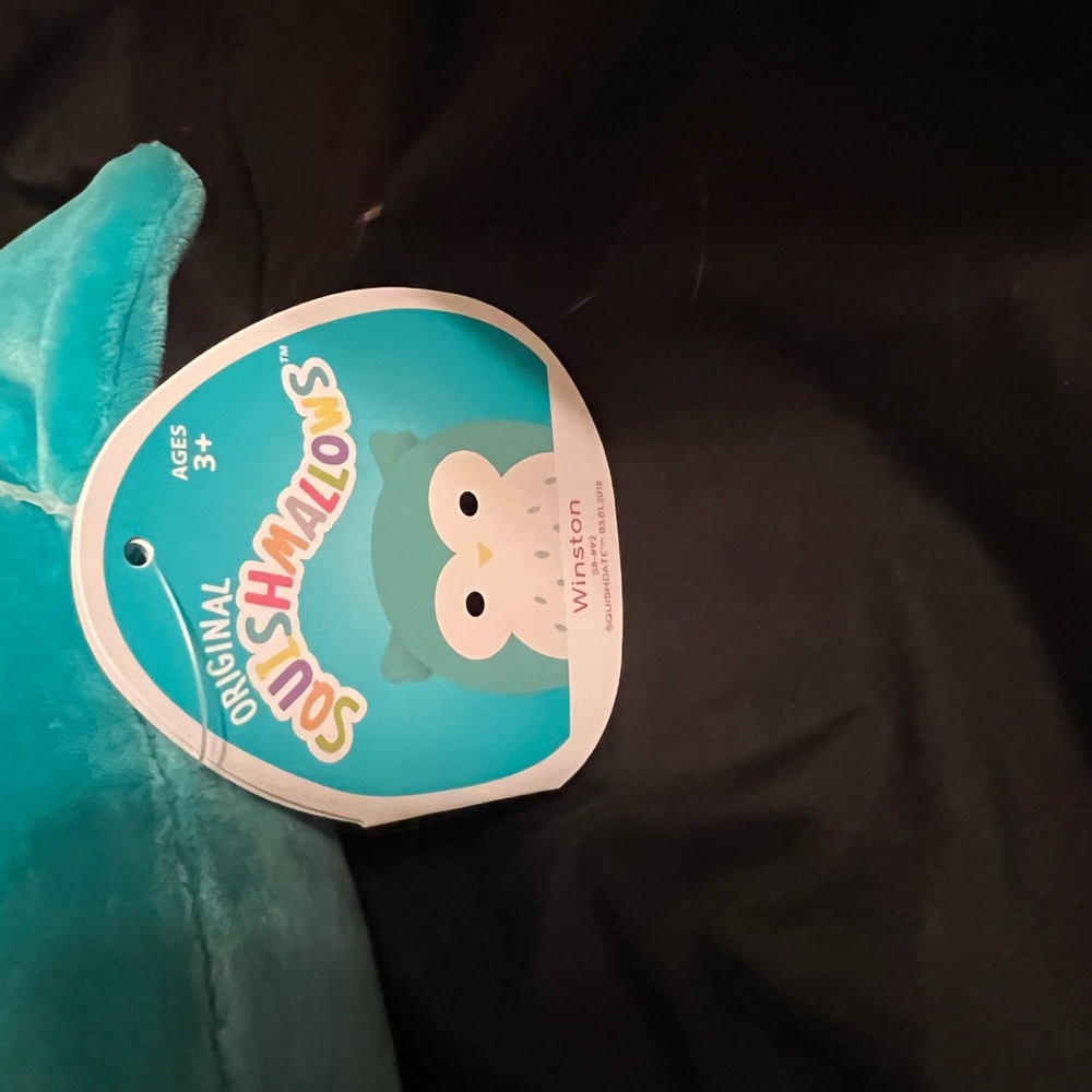 Winston squishmallow